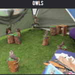For the Love of Fantasy attractions owls
