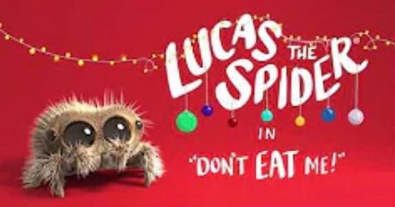 Lucas the spider