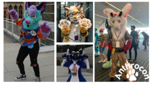 Anthrocon 2022 feature