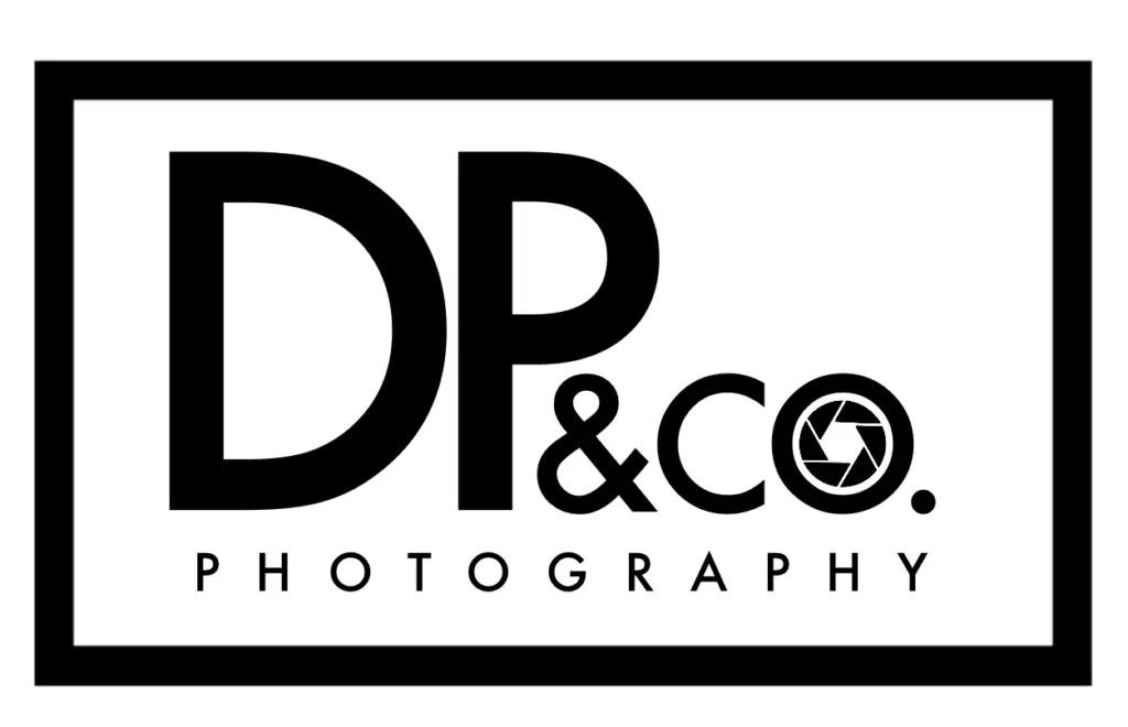 DP & CO Logo