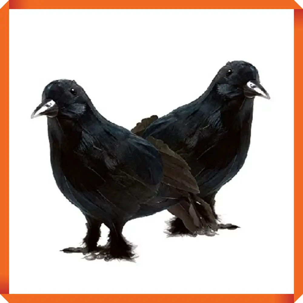 Plastic Crows
